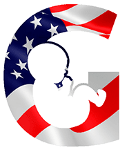 Leihmutterschaft USA